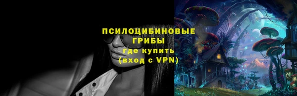 шишки Ханты-Мансийск