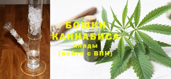 шишки Ханты-Мансийск