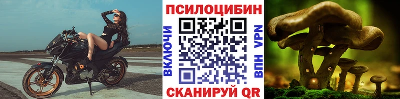 Псилоцибиновые грибы прущие грибы  цена   Кашира 