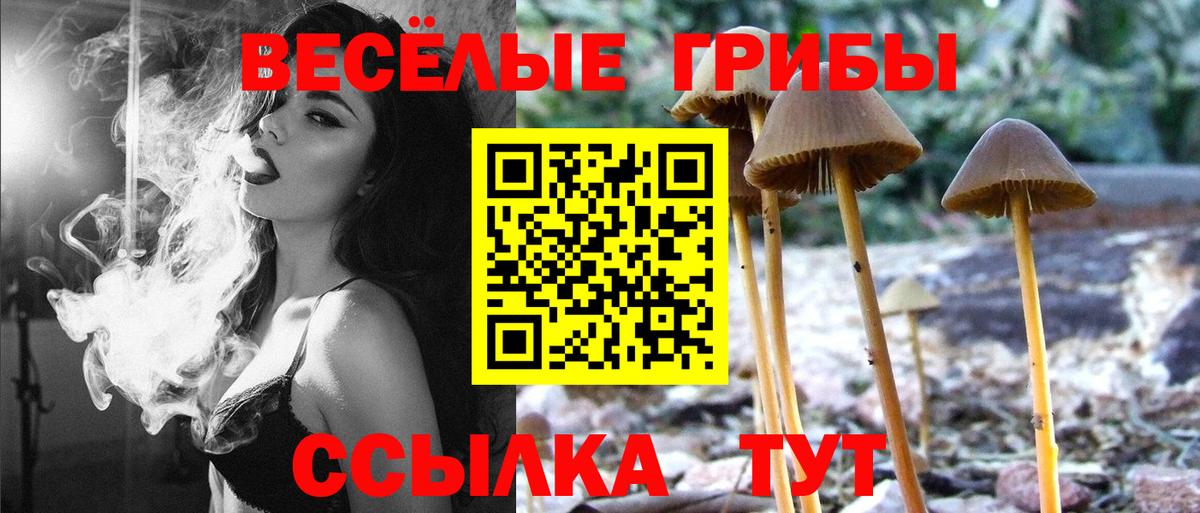 Галлюциногенные грибы GOLDEN TEACHER Кашира